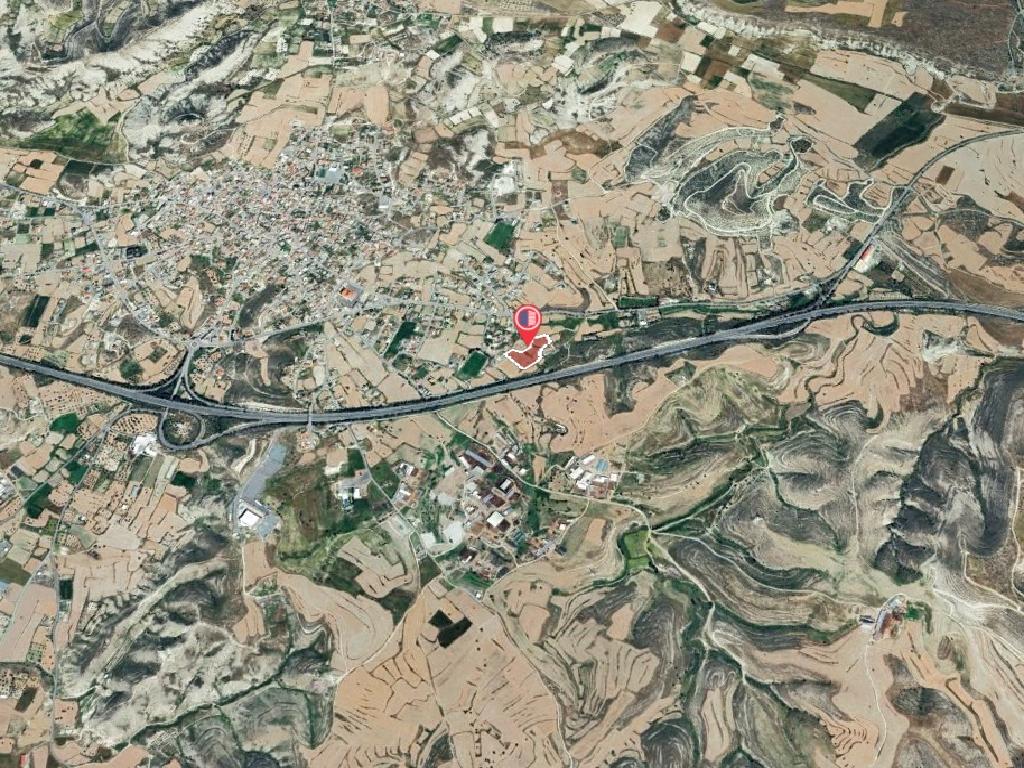 Field-Lympia-PR39321