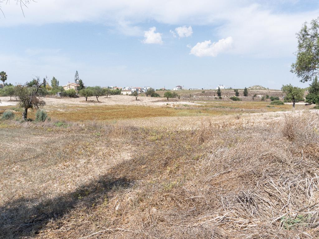 Field-Lympia-PR39321