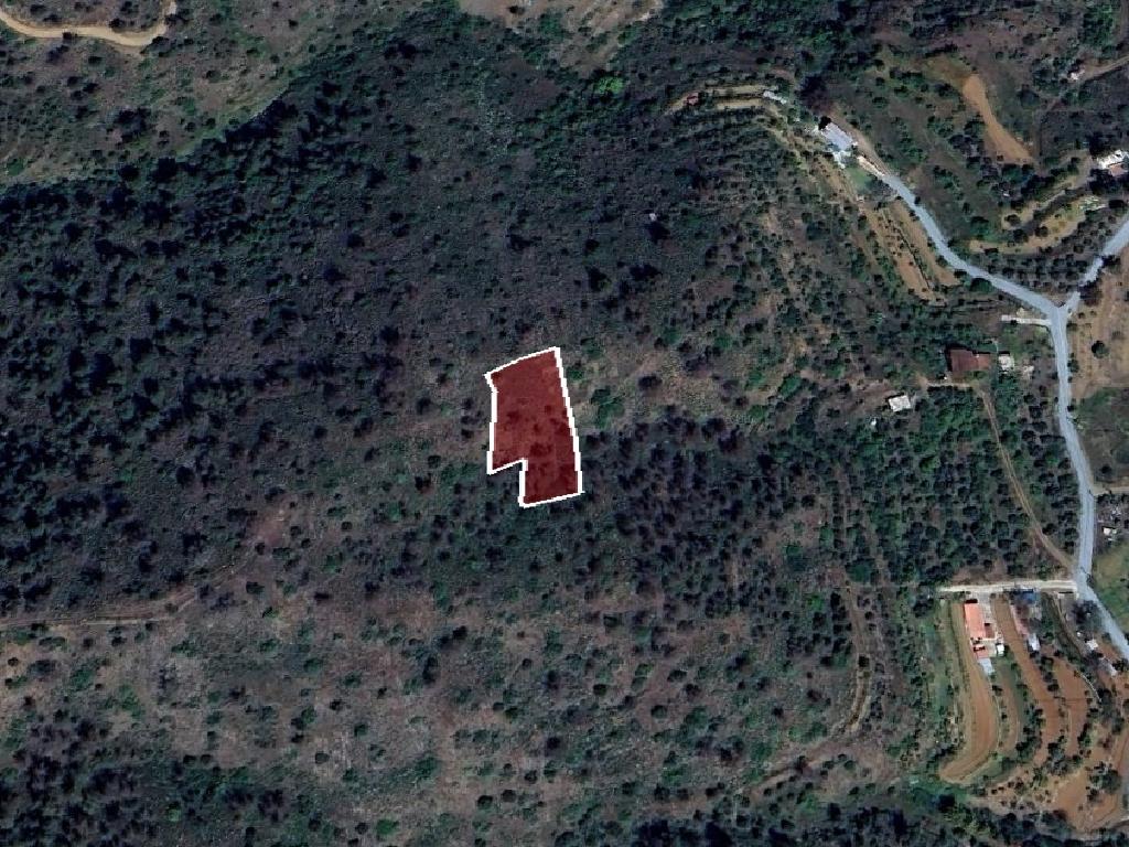 Field-Palaichori Orinis-PR40250