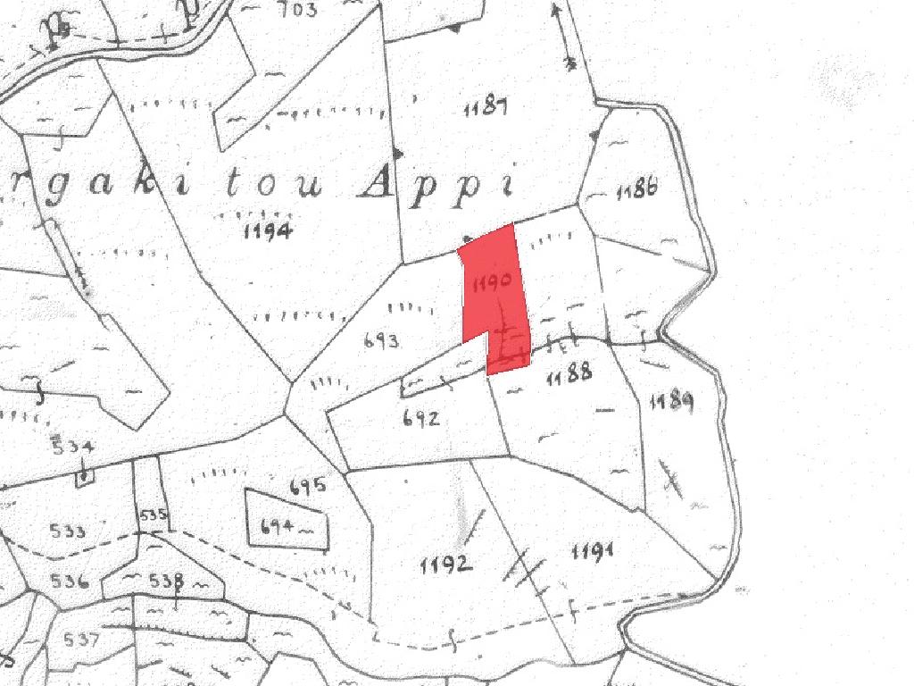 Field-Palaichori Orinis-PR40250
