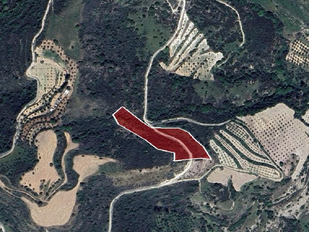 Field-Choulou-PR40759