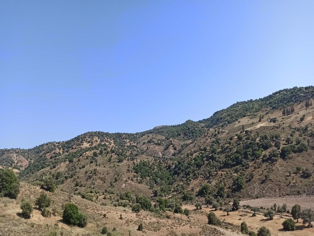 Field-Choulou-PR40759