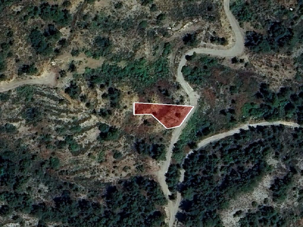 Field-Spilia-PR41372