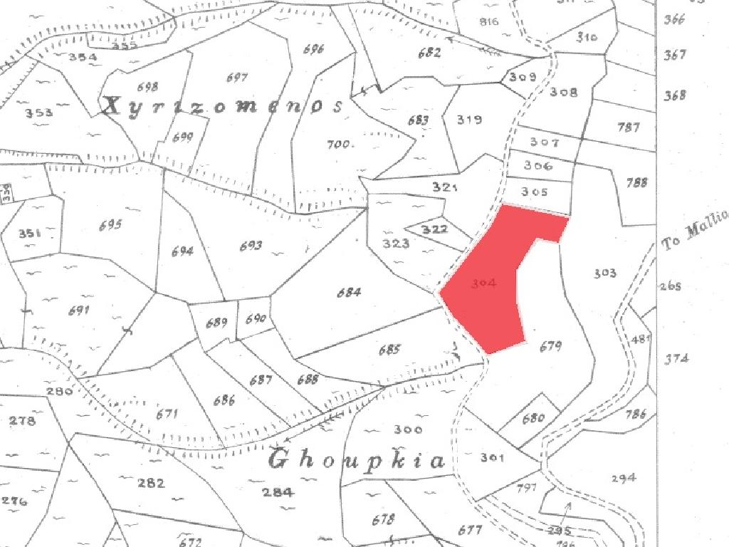 Field-Dora-PR41948