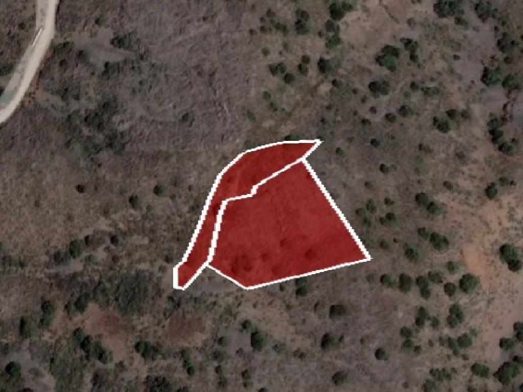 Field-Fterikoudi-CP10110