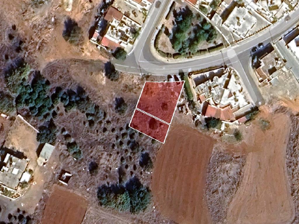 Plot-Xylotimpou-PR43519