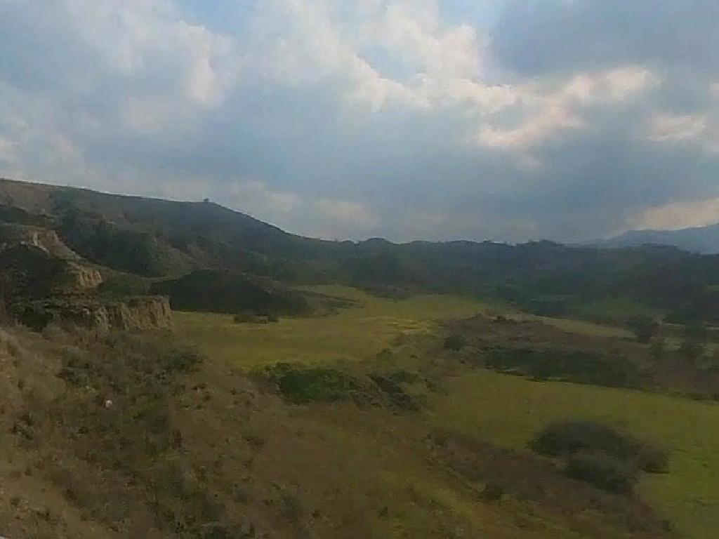 Field - Arediou, Nicosia