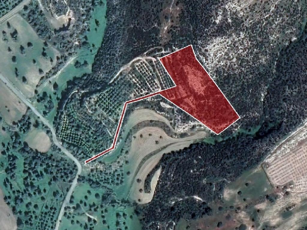 Field-Skarinou-PR10225