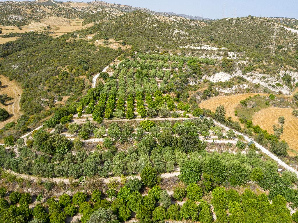 Field-Skarinou-PR10225