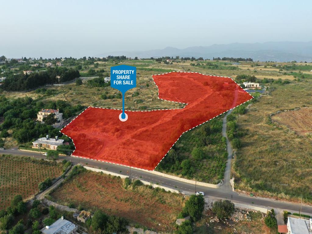 Field (Share) - Ineia, Paphos