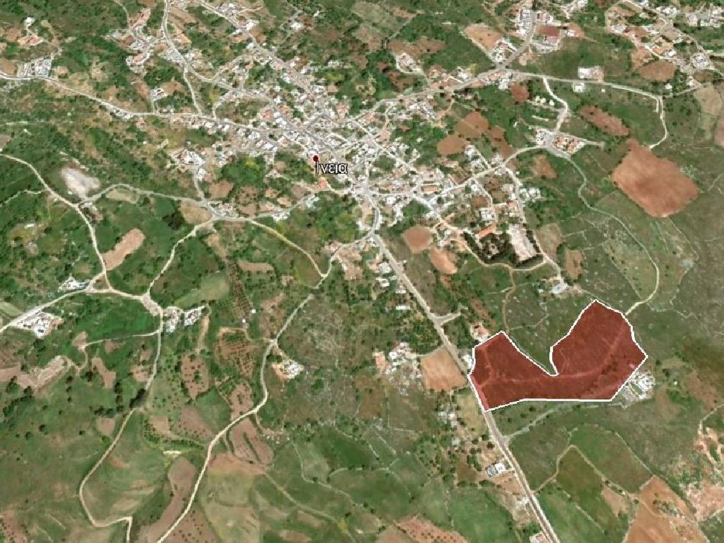 Field (Share) - Ineia, Paphos