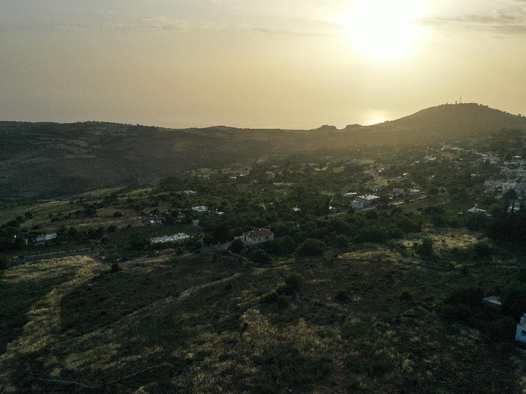 Field (Share) - Ineia, Paphos