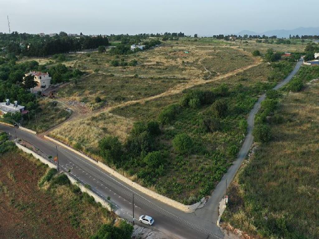 Field (Share) - Ineia, Paphos