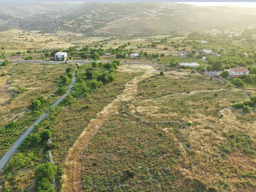 Field (Share) - Ineia, Paphos