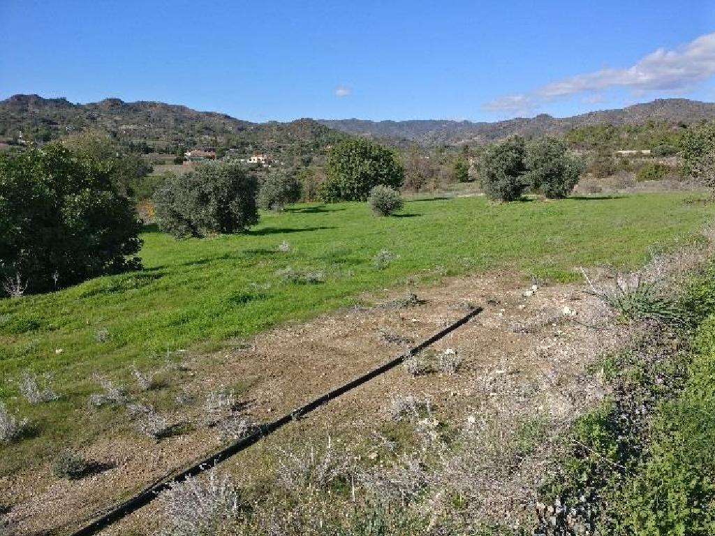 Field-Asgata-PR15308