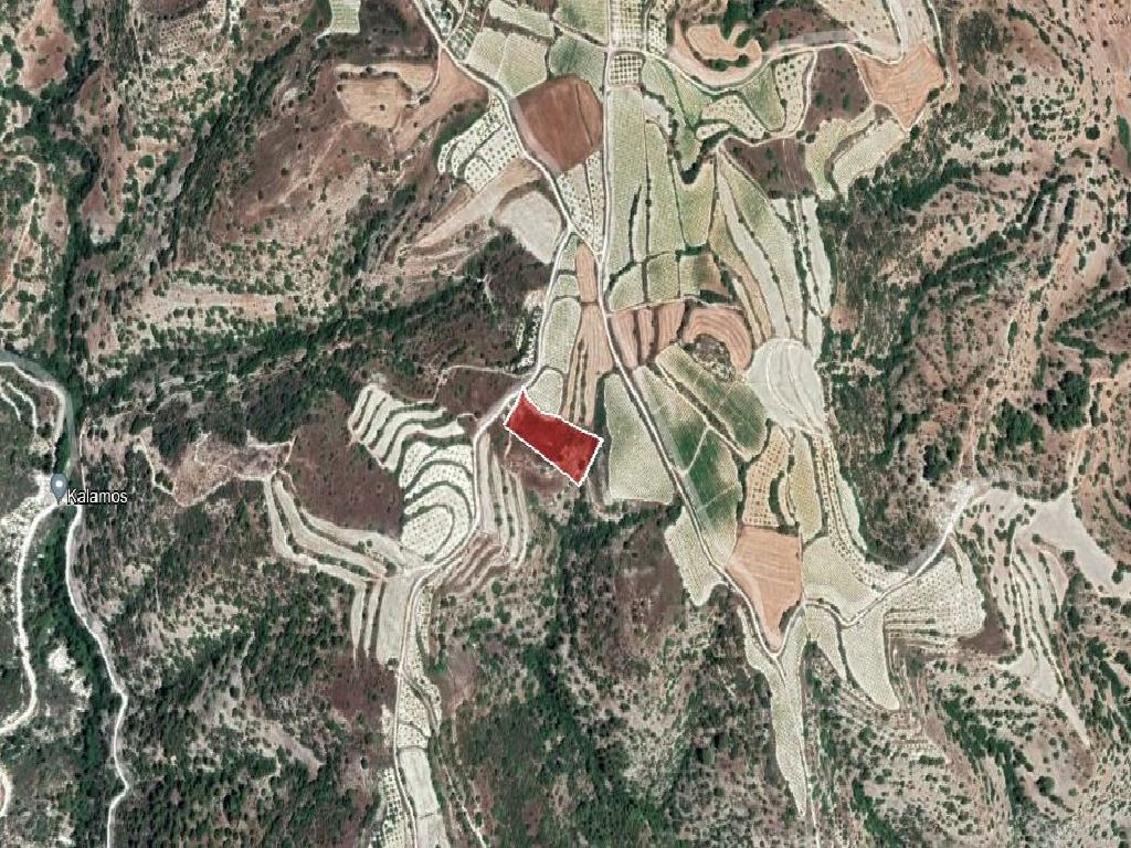 Field-Letymvou-PR35890