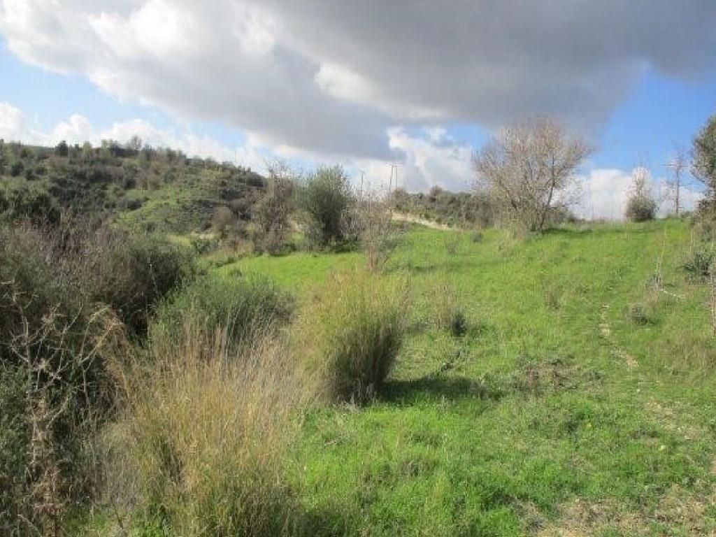 Field-Letymvou-PR35890