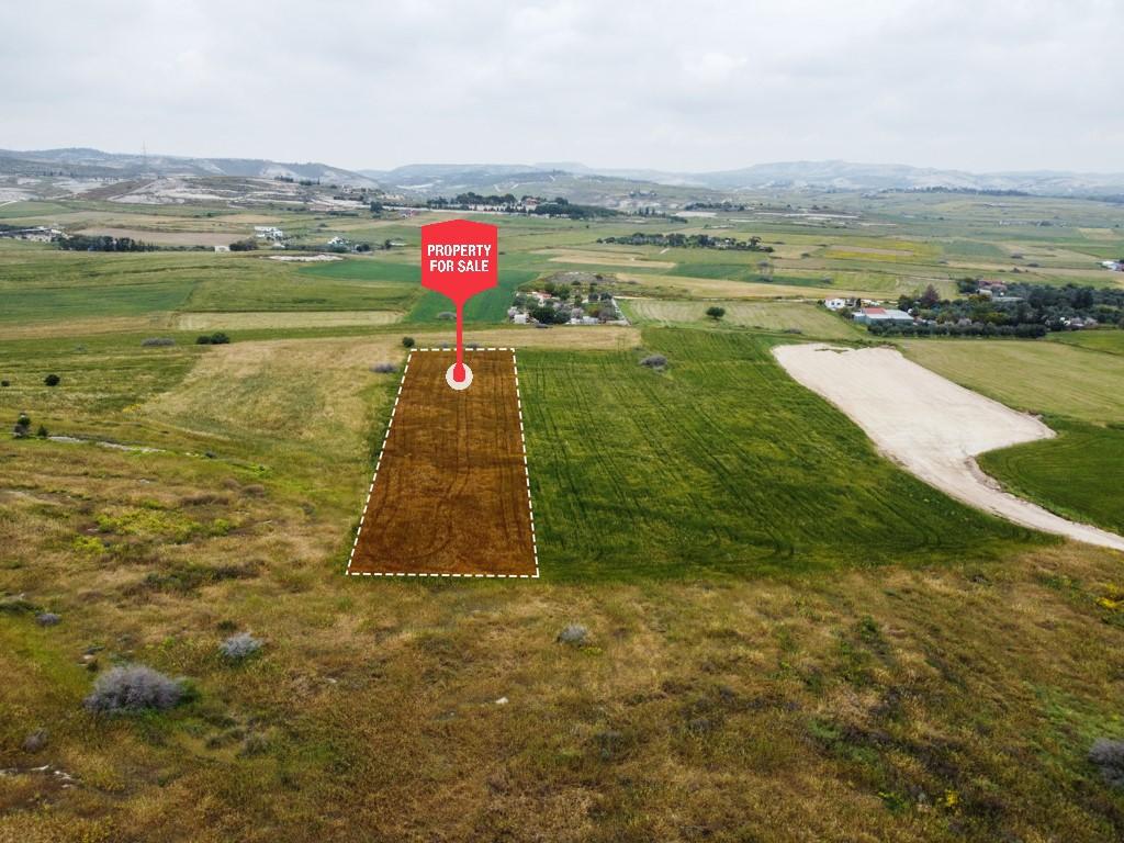 Field-Aradippou-PR37045