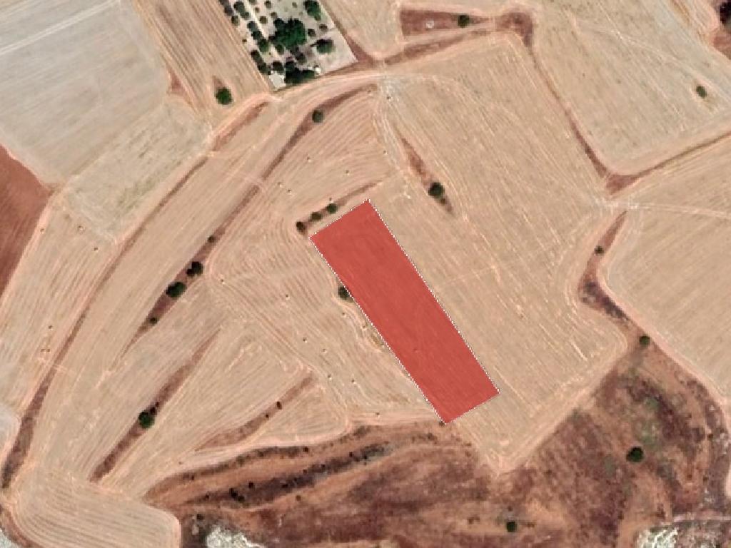 Field-Aradippou-PR37045