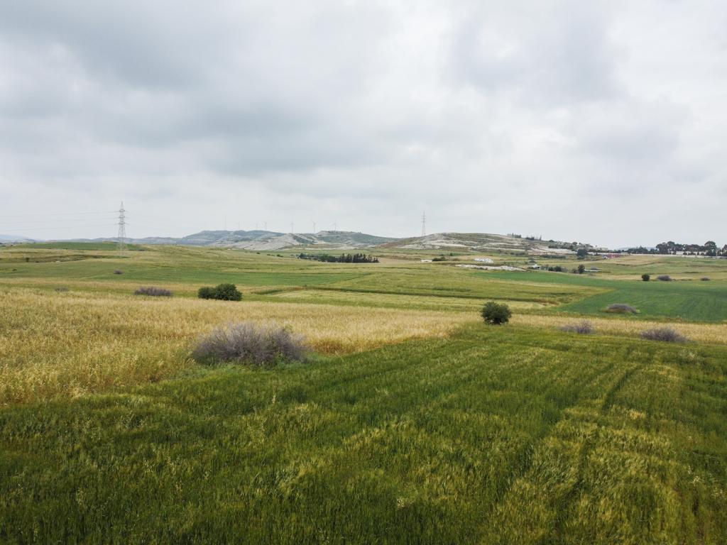 Field-Aradippou-PR37045