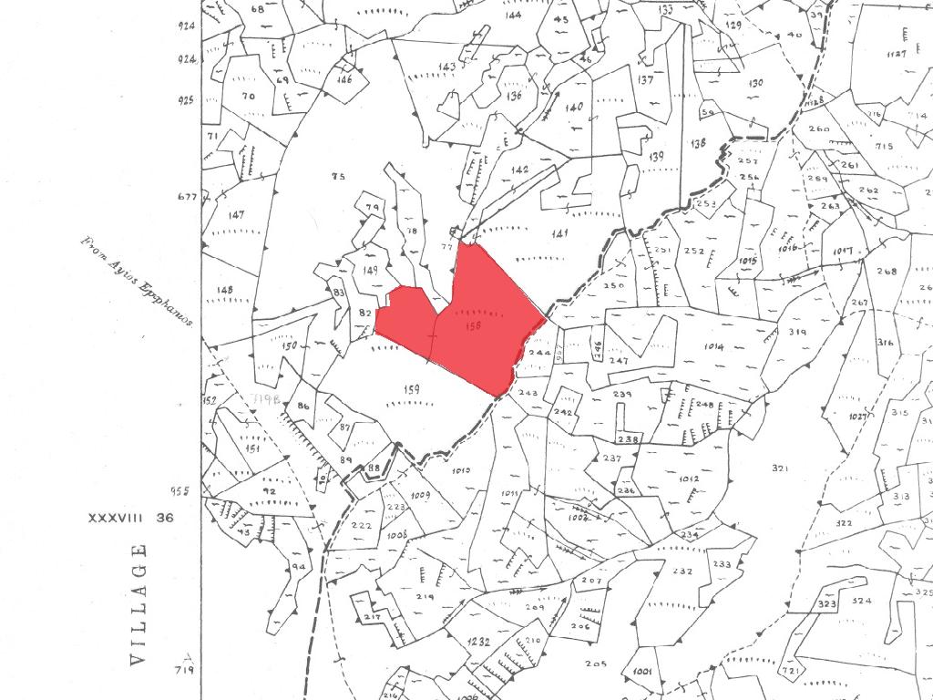 Field-Palaichori Morfou-PR40246