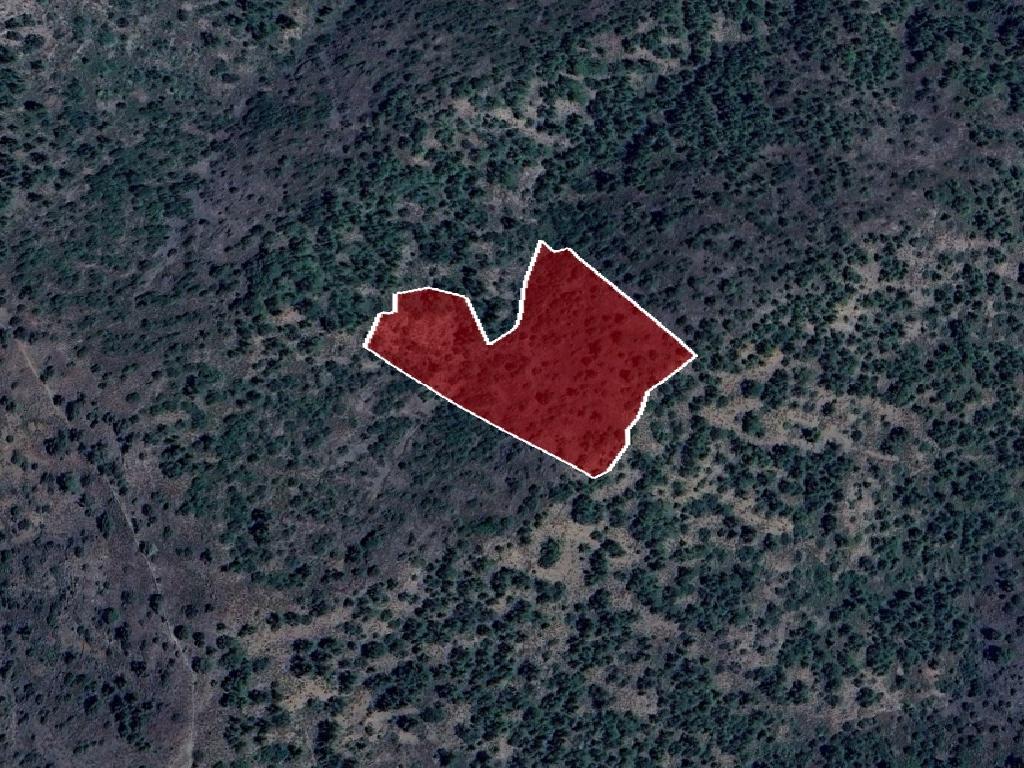 Field-Palaichori Morfou-PR40246