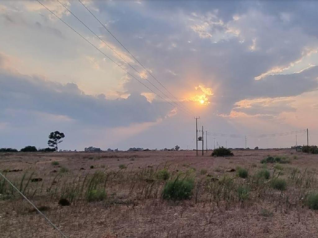 Field-Xylofagou-PR40626