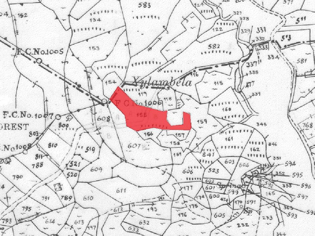 Field-Spilia-PR41370