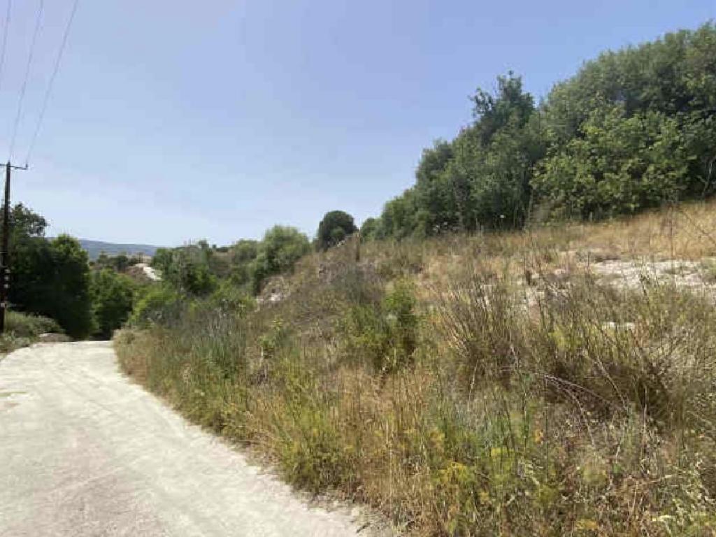 Field - Simou, Paphos