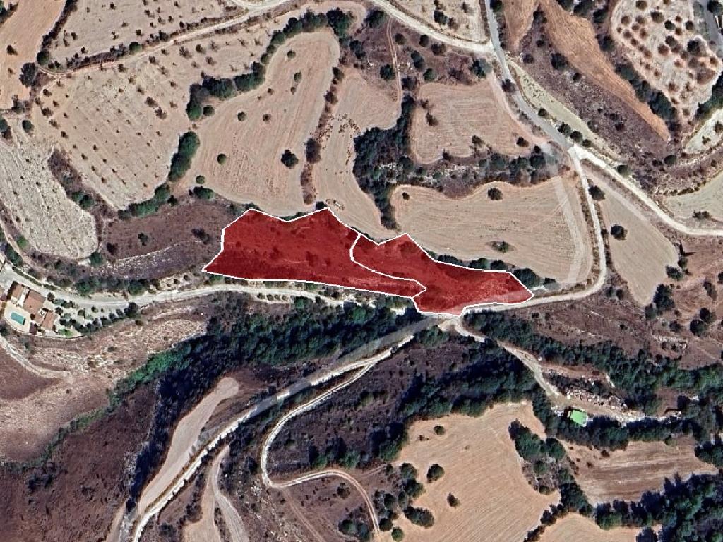 Field - Simou, Paphos