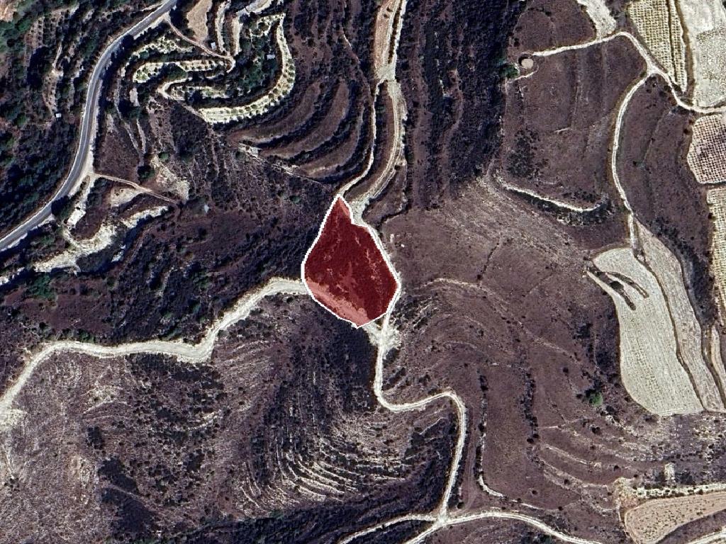 Field-Stroumpi-PR41589