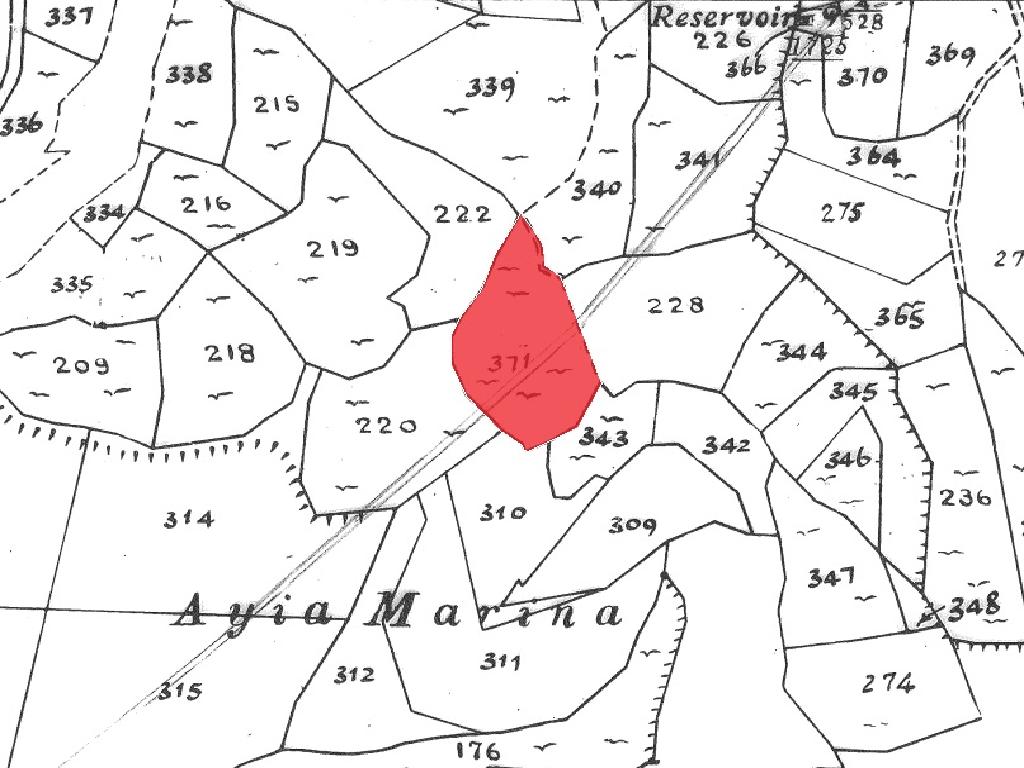 Field-Stroumpi-PR41589