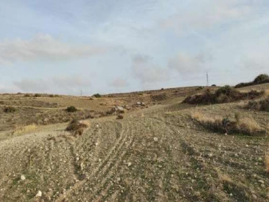 Field - Kato Koutrafas, Nicosia