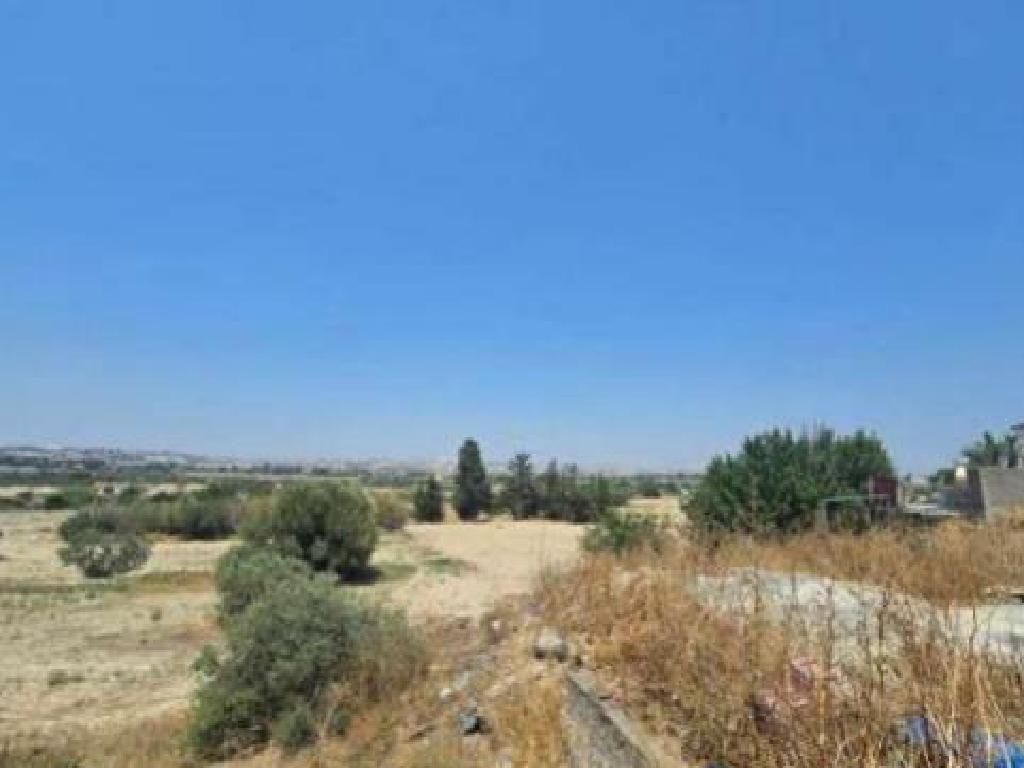 Field (Share) - Aradippou, Larnaca
