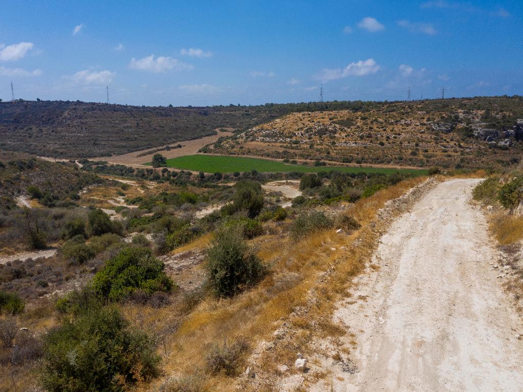 Field - Episkopi, Limassol