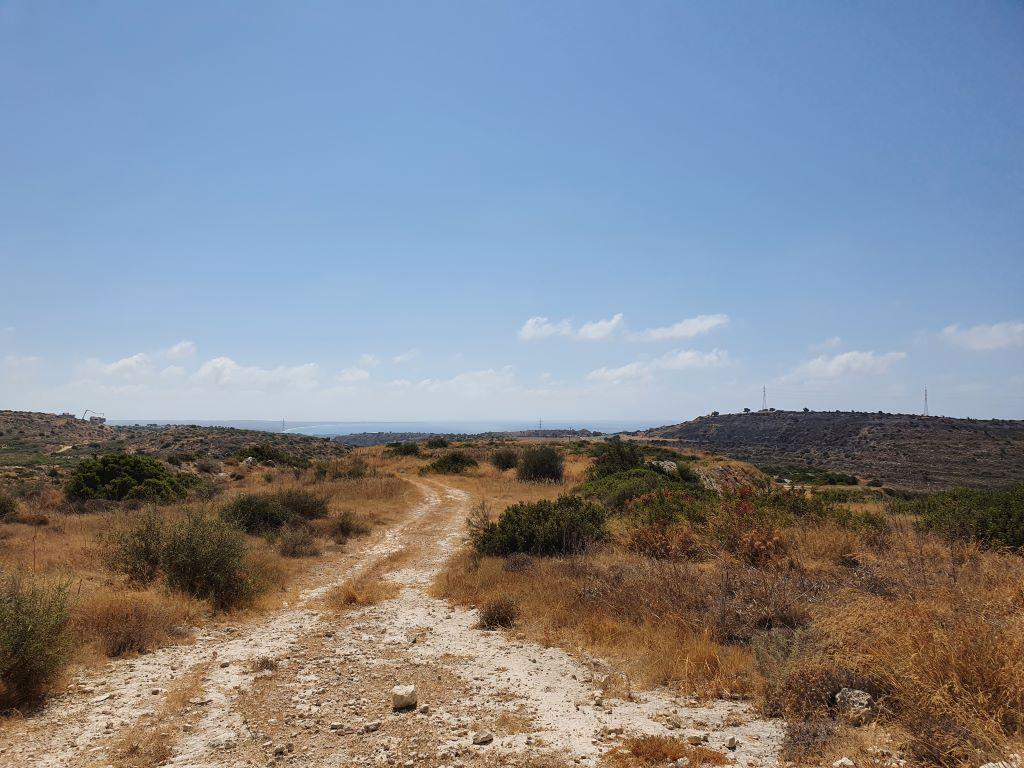 Χωράφι - Επισκοπή, Λεμεσός