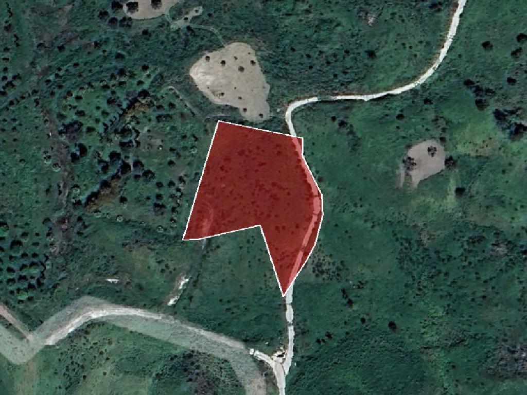 Field-Lasa-PR31997