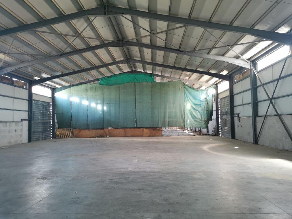 Warehouse-Alambra-PR31786