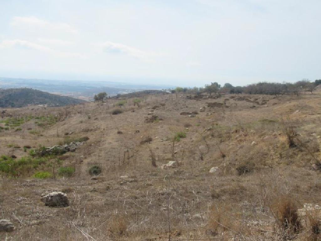 Field - Marathounta, Paphos