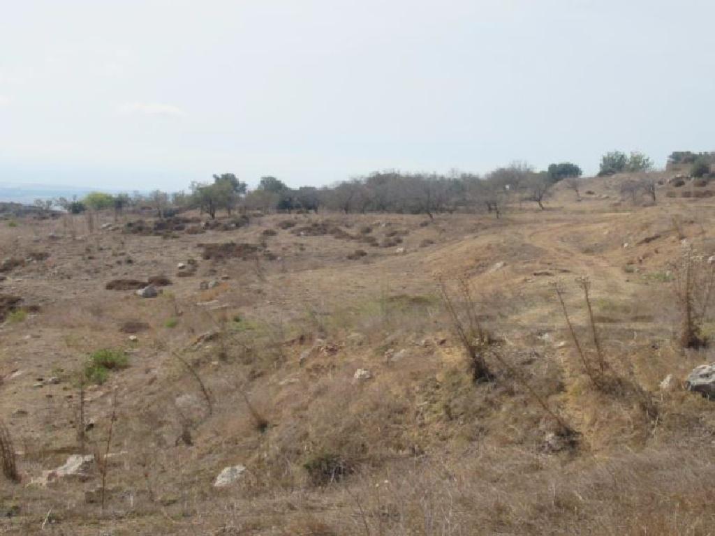 Field - Marathounta, Paphos