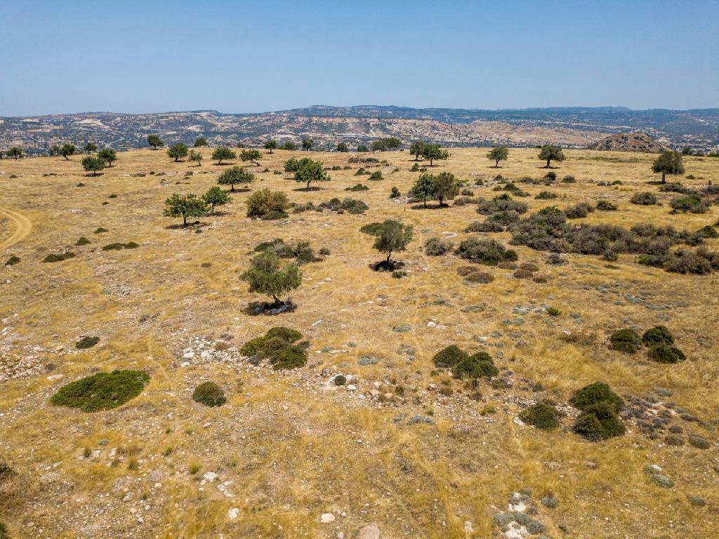 Field-Pissouri-PR34912