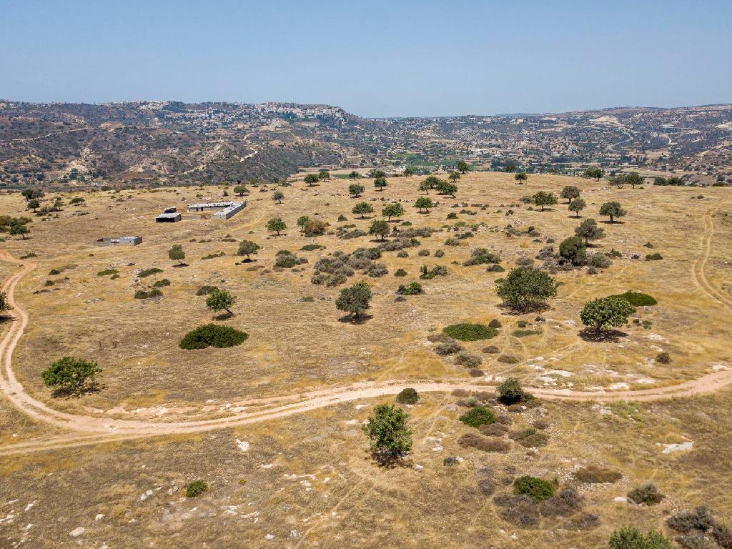 Field-Pissouri-PR34912