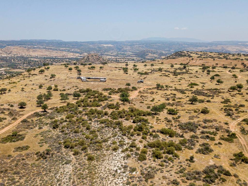 Field-Pissouri-PR34912