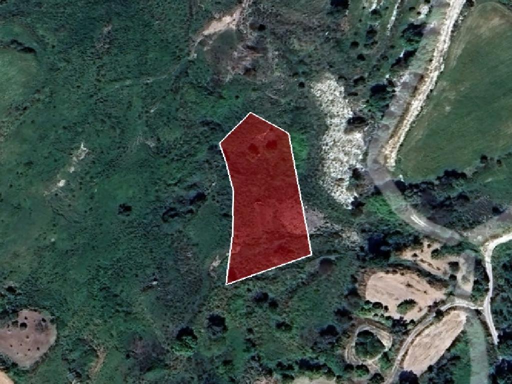 Field-Fyti-PR35511