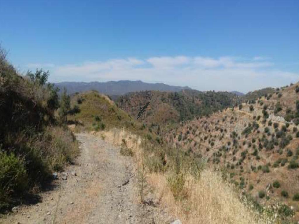 Field-Ora-PR36390
