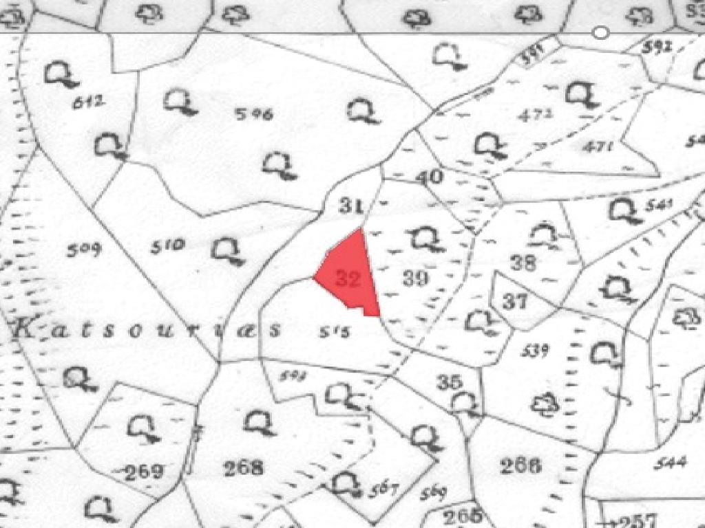 Field-Ora-PR36390