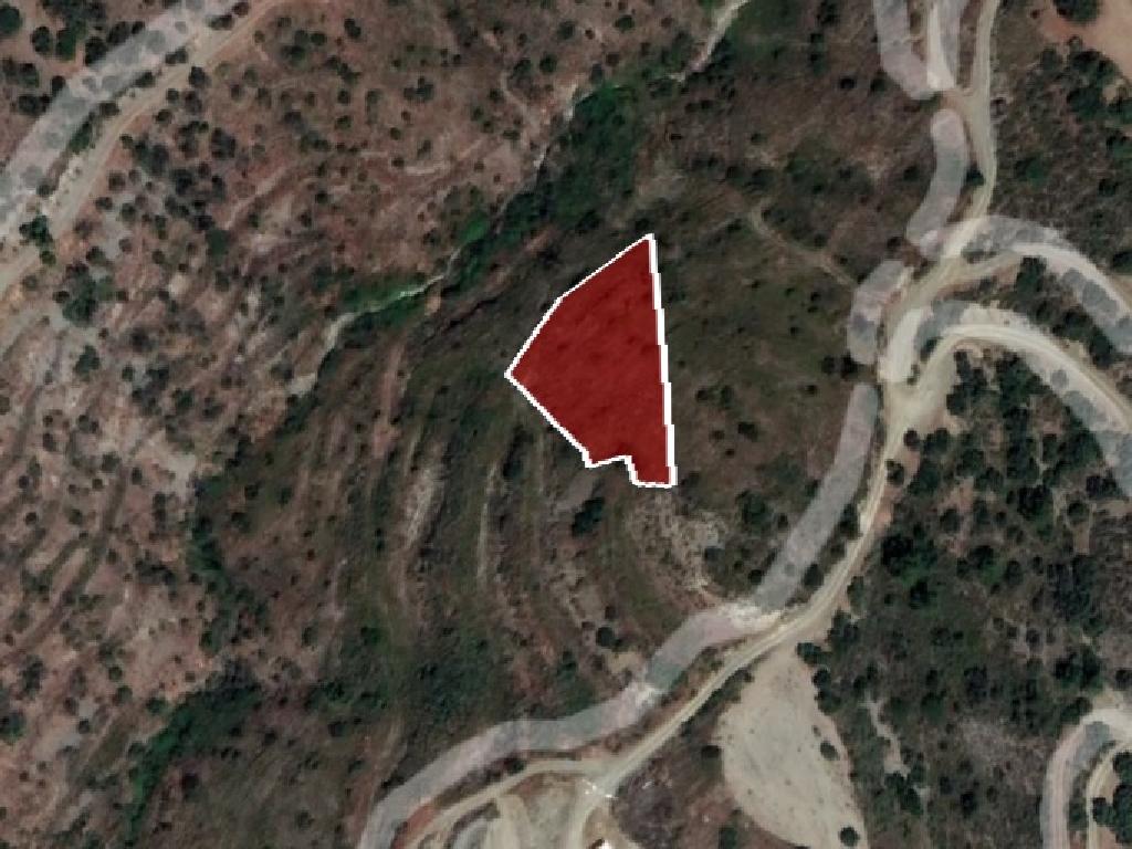 Field-Ora-PR36390