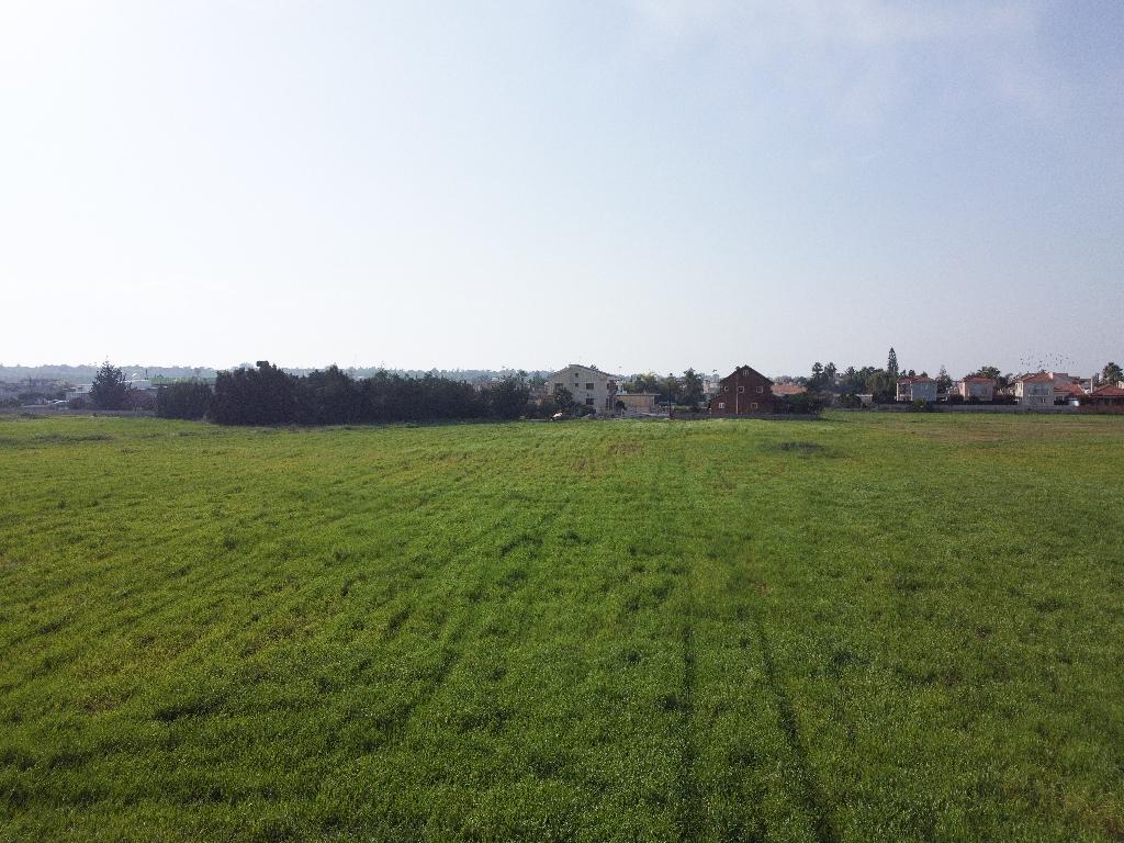 Field-Xylofagou-PR36587