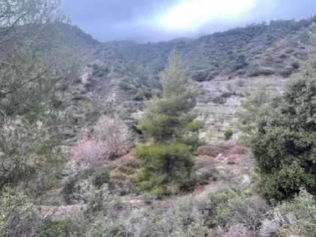 Field-Pelendri-PR38090