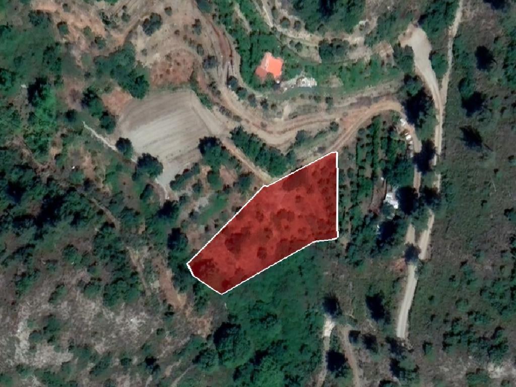 Field-Pelendri-PR38090